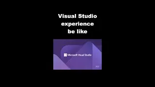 Visual Studio be like... 