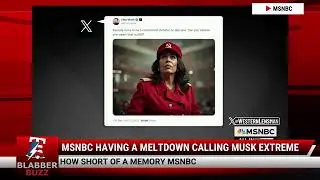 MSNBC Having A Meltdown Calling Musk Extreme