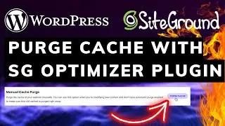 How To Purge Cache With SG Optimizer Plugin in WordPress