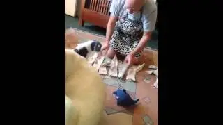 Sorting Socks