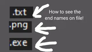 How to see .exe, .png at the end of the file name (It is called file name extensions)