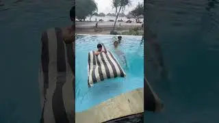 KEMANA MANA NAIK DELMAN !! 😱