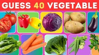 Guess the Vegetable in 3 Seconds..| 40 Different types of Vegetables..