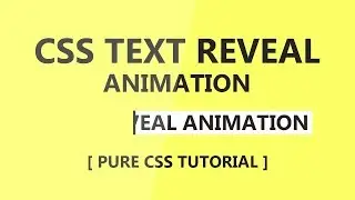 Online Tutorial for Text Reveal Animation 2 in CSS With Demo and Free Source Code Download