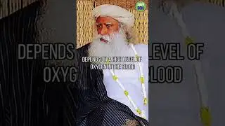 Consume this daily to increase blood in your body | Sadhguru | Prospiritual Yogi #shorts