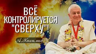 Всё контролируется "сверху"! Александр Хакимов