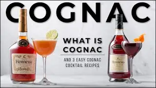 What is Cognac with Hennessy & 3 Delicious Cognac cocktails