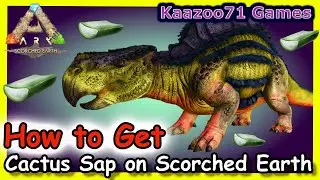 How to Get Cactus Sap in Scorched Earth Ark 💥