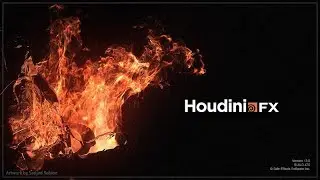 Houdini 1-16 (L System)