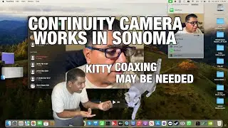 Get Continuity Camera Working on Sonoma for Your iPhone