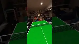 Portable Full Sized Table Tennis