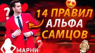 Топ 14 Ментальных Установок «альфа-самцов», Которые Привлекают ВСЕХ женщин (Как Стать Альфа Самцом)