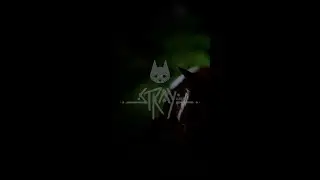 #Stray - самая известная, обсуждаемая, чувственная и переоценная игра года.