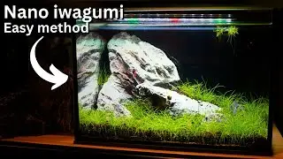 Beginner Iwagumi Nano tank? Step by step dry start tutorial for small shrimp setup!