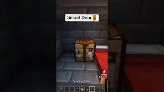 Minecraft Secret Shulker Door #shorts