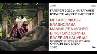 МЕТАМОРФОЗЫ ВЛАДИСЛАВА МАМЫШЕВА-МОНРО В ФОТОИСТОРИЯХ ВАЛЕРИЯ КАЦУБЫ