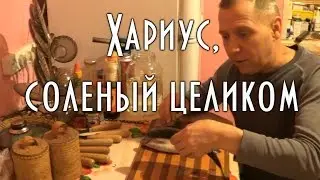 СОЛЕНЫЙ ХАРИУС, ЦЕЛИКОМ, Вкуснейший рецепт, жирненькая рыбка