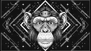 Spirit Techno Music 2024 Elemental Monkey [Radio Stream]