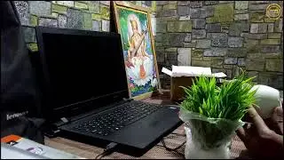 Unboxing & review of Nimkar's Bonsai Wild Artificial Plant | Best artificial plant for Youtube setup