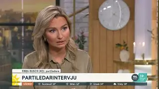 Ebba Busch (KD): ”Vi kan inte be fram energiförsörjning” | Nyhetsmorgon | TV4 & TV4 Play