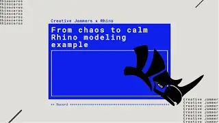 From chaos to calm - Rhino modeling example