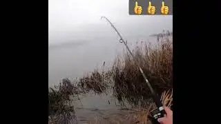 ⚡️⚡️Поймал, получил удовольствие, отпустил... 🎣   🇺🇦🇺🇦🇺🇦   