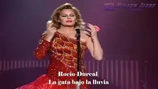 Rocio Durcal -  La gata bajo la lluvia con letra