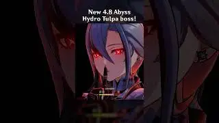 NEW 4.8 HYDRO TULPA BOSS