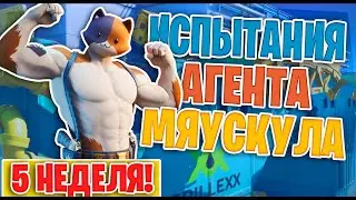 ВЫПОЛНЕНИЕ ВСЕХ ИСПЫТАНИЙ МИСТЕРА МЯУСКУЛА 5 НЕДЕЛИ ФОРТНАЙТ!5НЕДЕЛЯ ИСПЫТАНИЙ ФОРТНАЙТ!ТЕНЬ ПРИЗРАК