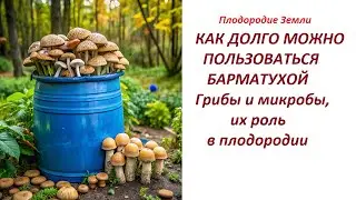 Как зимует БАРМАТУХА ответ на вопросы зрителей №654/24