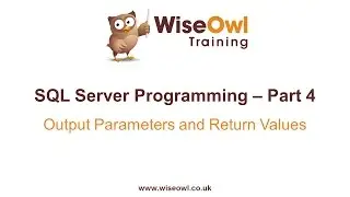 SQL Server Programming Part 4 - Output Parameters & Return Values