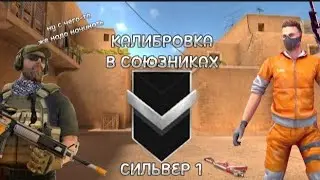КАЛИБРОВКА В СОЮЗНИКАХ С РАНДОМАМИ!