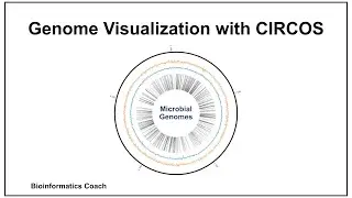 Circos Tutorial for Bioinformatics - Visualizing Microbial Genomes