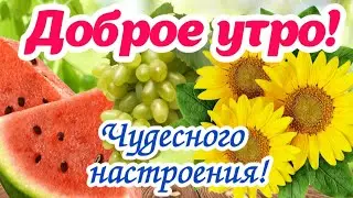 С добрым утром!🌻🍉Успеха и отличного настроения! Доброе утро! Красивая открытка