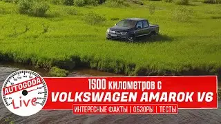 Volkswagen Amarok V6 – Обзор и тест-драйв легендарного «волка»