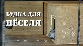 Будка для собаки своими руками /Быстро, Бюджетно и Функционально #ДомОгород