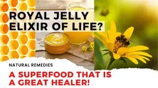 Royal Jelly: 16 Amazing Benefits