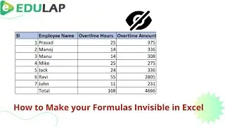 How to make Formulas Invisible for other Users in Excel