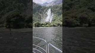 Streams galore at Milford Sound, Queenstown, New Zealand #shortsvideo