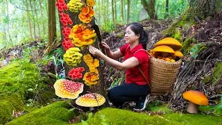 Harvest wood ear & Goes To Market Sell | Harvesting And Cooking | Lý Song Ca