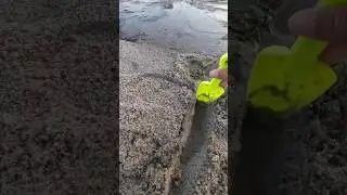 Little Kid Connects River To Ocean