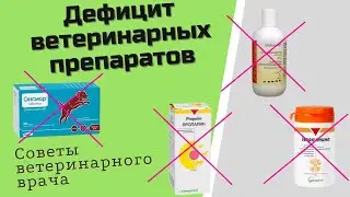 Дефицит ветеринарных препаратов