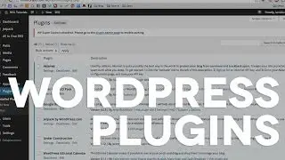 09 WordPress Plugins: Everything you need to know