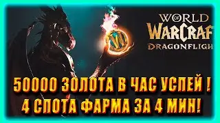 GOLD FARM / СПОТ ГОЛДФАРМ 50000 GOLD FARM World of Warcraft Dragonflight 10.0