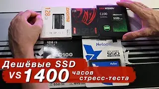 Дешёвые SSD спустя 1400 часов стресс-теста