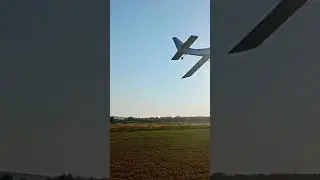 Золотая осень)))