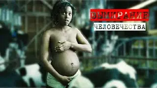 Последнюю беременную на Земле вывозят на остров ради спасения человечества
