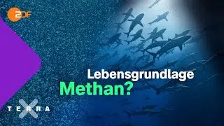 Wie nützlich das Treibhausgas in der Tiefsee ist | Terra X plus