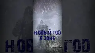 S.T.A.L.K.E.R - Новый год. Рассказчик Сидорович