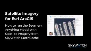 How to run the Segment Anything Model on EarthCache Imagery - Satellite Imagery for ArcGIS